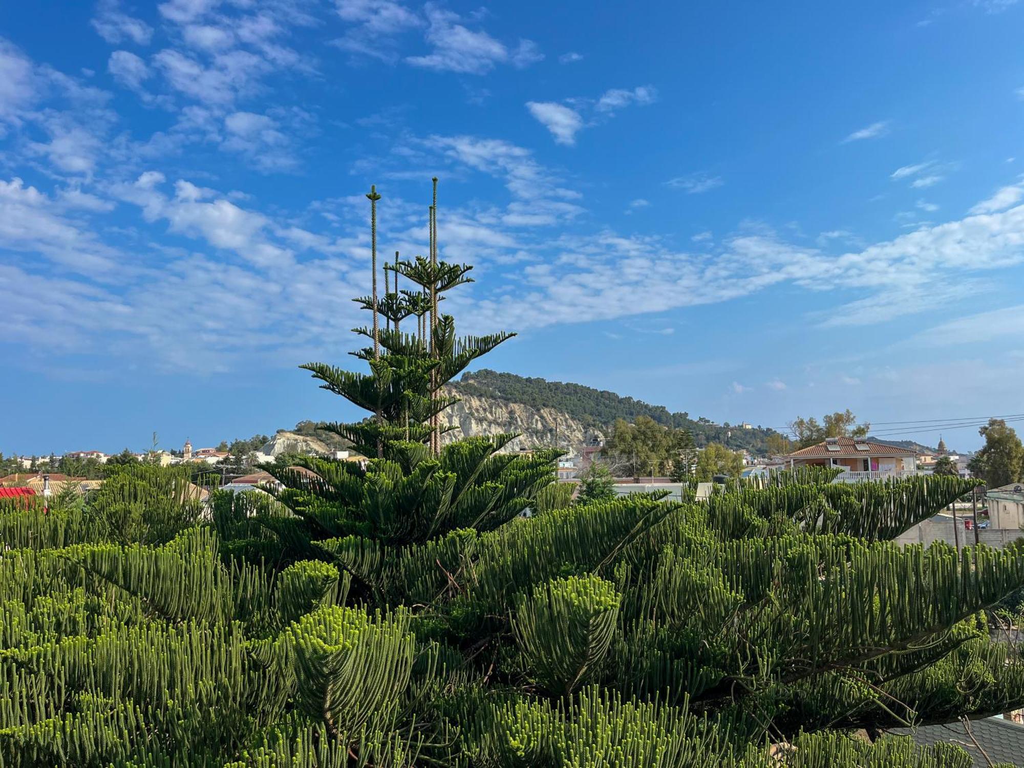 Pettas Apartments Zakynthos Buitenkant foto